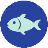 Pescado